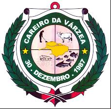 Brasão da cidade de Careiro Da Varzea - AM