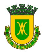 Cidade de BORDA DA MATA - MG 