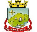 Brasão da cidade de Angelina - SC