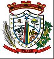 Brasão da cidade de Ipuacu - SC