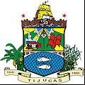 Brasão da cidade de Tijucas - SC