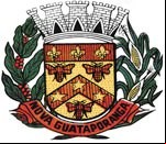 Brasão da cidade de Nova Guataporanga - SP
